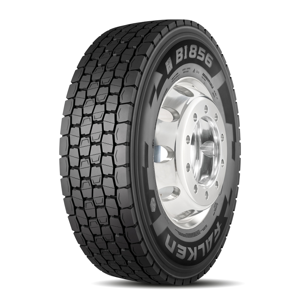 Falken_BI856_30Grad
